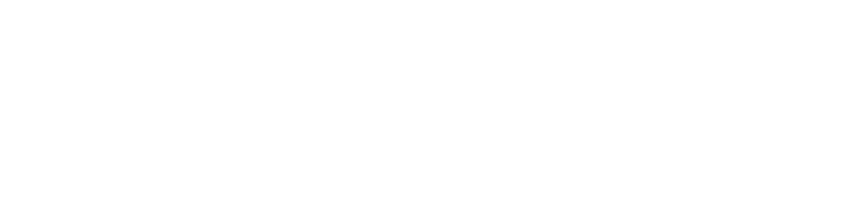 BLH Nobel